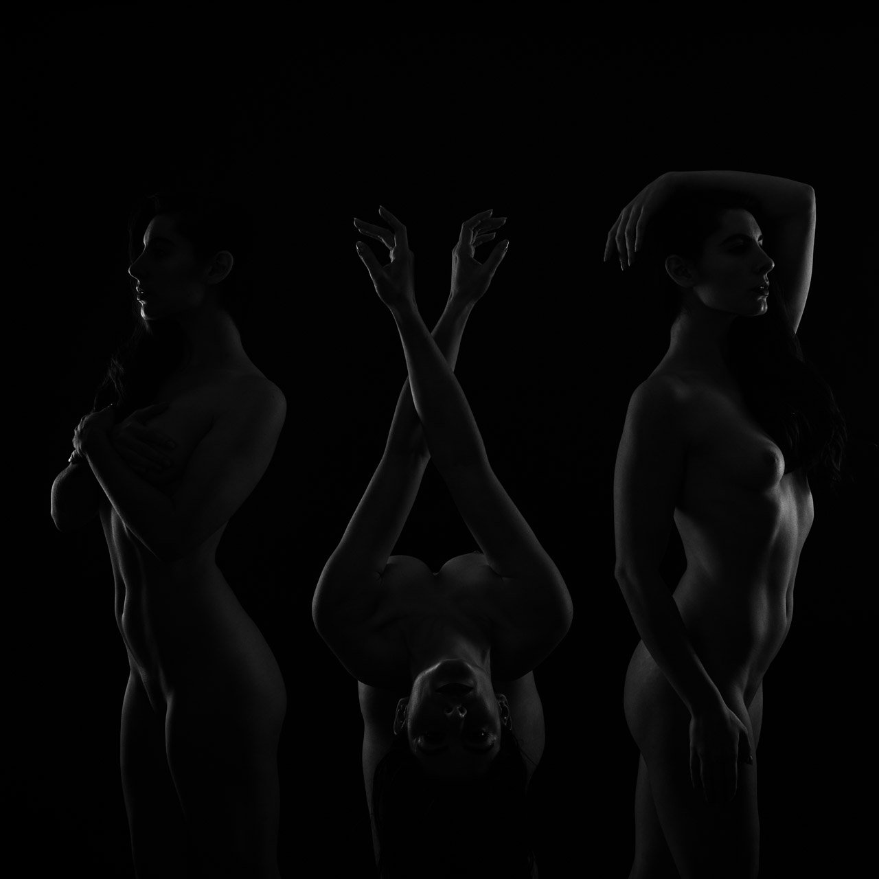Triptych Fine Art Nude